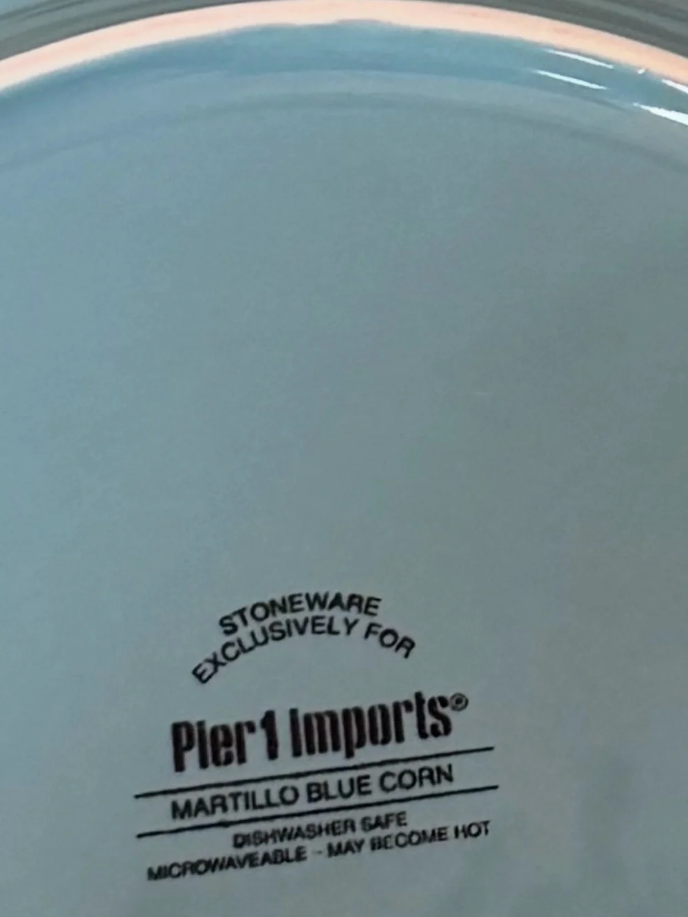 Pier 1 Blue Ceramic Dinner Plates - Set of 2